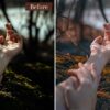 Forest Presets Lightroom Mobile & Desktop | Influencer Preset Wanderlust - Imagem 3
