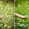 Forest Presets Lightroom Mobile & Desktop | Influencer Preset Wanderlust - Imagem 8