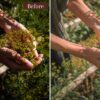 Forest Presets Lightroom Mobile & Desktop | Influencer Preset Wanderlust - Imagem 11
