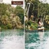 Landscape Lightroom Presets Desktop And Mobile Woods, Forests Presets IG - Image 9