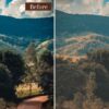Landscape Presets Lightroom Desktop & Mobile Forest Preset Lifestyle - Image 2