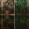 Landscape Presets Lightroom Desktop & Mobile Forest Preset Lifestyle - Image 3