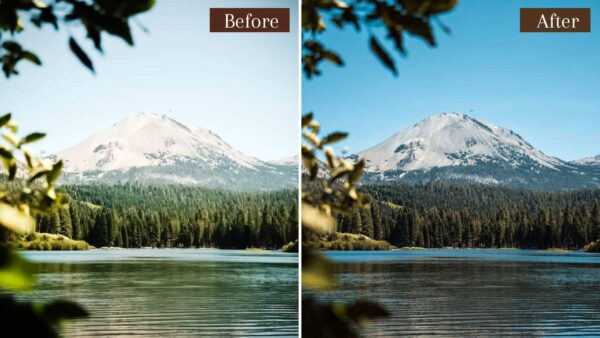 Landscape Presets Lightroom Desktop & Mobile Forest Preset Lifestyle - Image 5