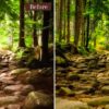 Landscape Presets Lightroom Desktop & Mobile Forest Preset Lifestyle - Image 6