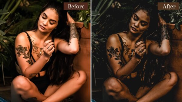 Moody Tones Presets Lightroom Mobile & Desktop Dark Filters - Image 2