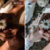 Natural & Airy Presets Lightroom Mobile & Desktop Bright Filters - Imagem 3