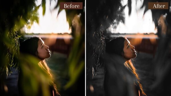 Noir Dark Presets Lightroom Mobile & Desktop Influencer Blogger Preset - Image 9