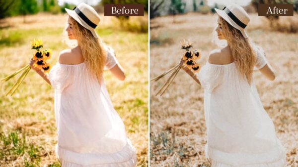 6 Presets Lightroom De Tons De Bege - Mobile E Desktop - Image 4