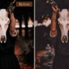 Brown Lightroom Presets Mobile and Desktop - Image 6