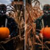 Caramel Lightroom Presets Mobile & Desktop And ACR - Image 9
