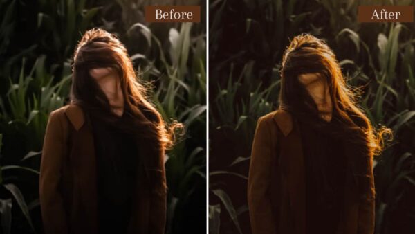 Forest Presets Lightroom Mobile & Desktop XMP - Imagem 3