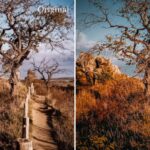 Moody Brown Preset Collection - Image 9
