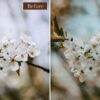 Terrain Lightroom Presets Mobile & Desktop - Imagem 7