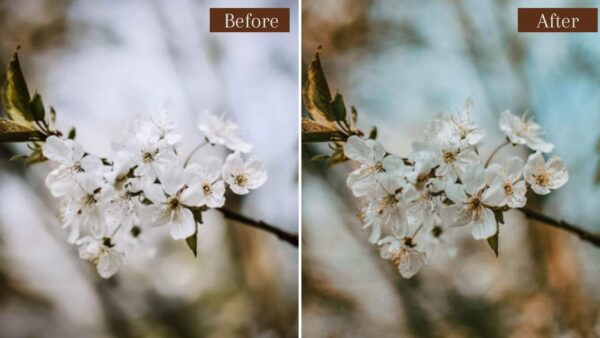 Terrain Lightroom Presets Mobile & Desktop - Image 7