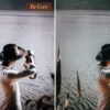 Terrain Lightroom Presets Mobile & Desktop - Imagem 8